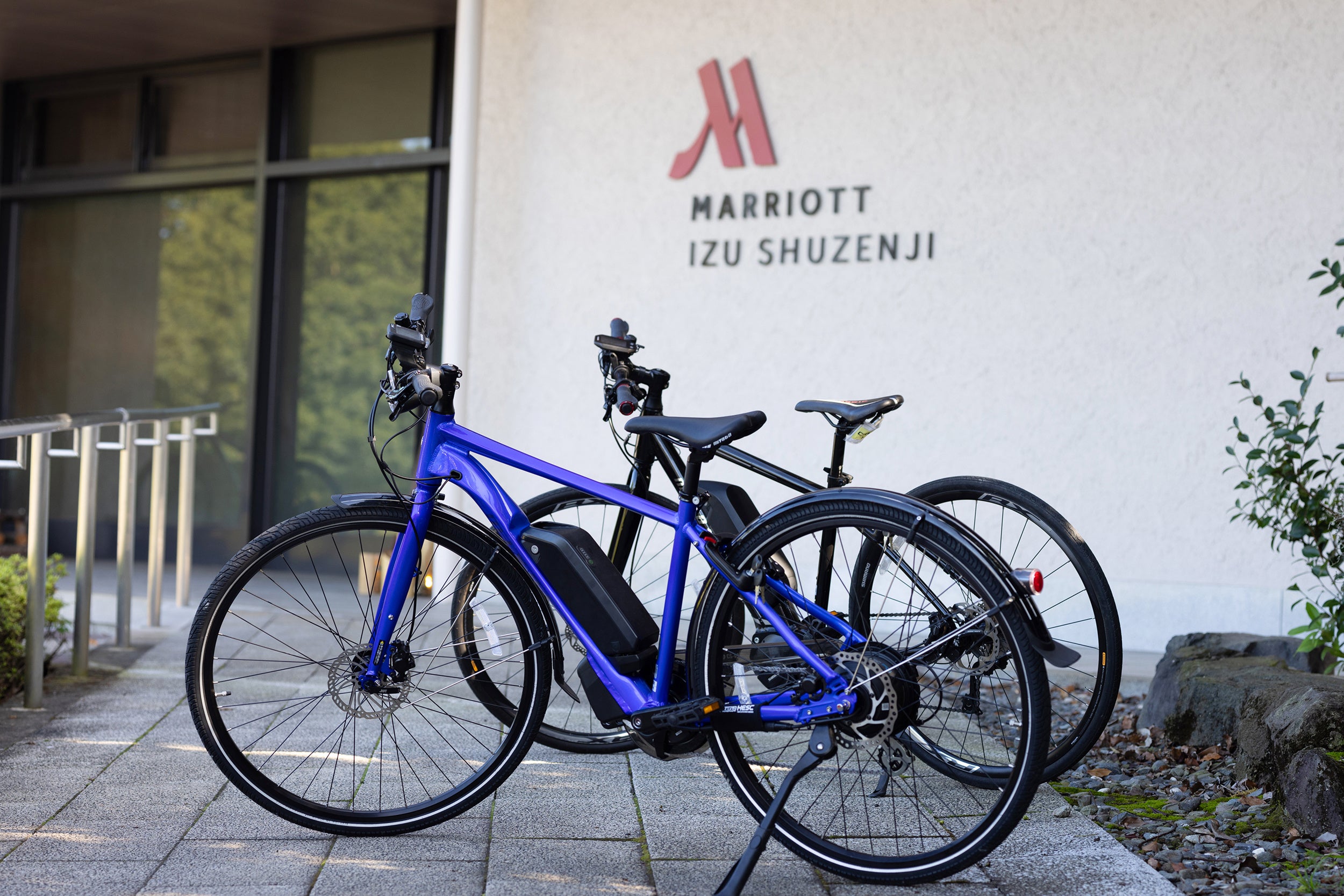 定年欧州自転車旅行 定年欧州自転車旅行 | 上林 三郎 |本 | 通販 | Amazon
