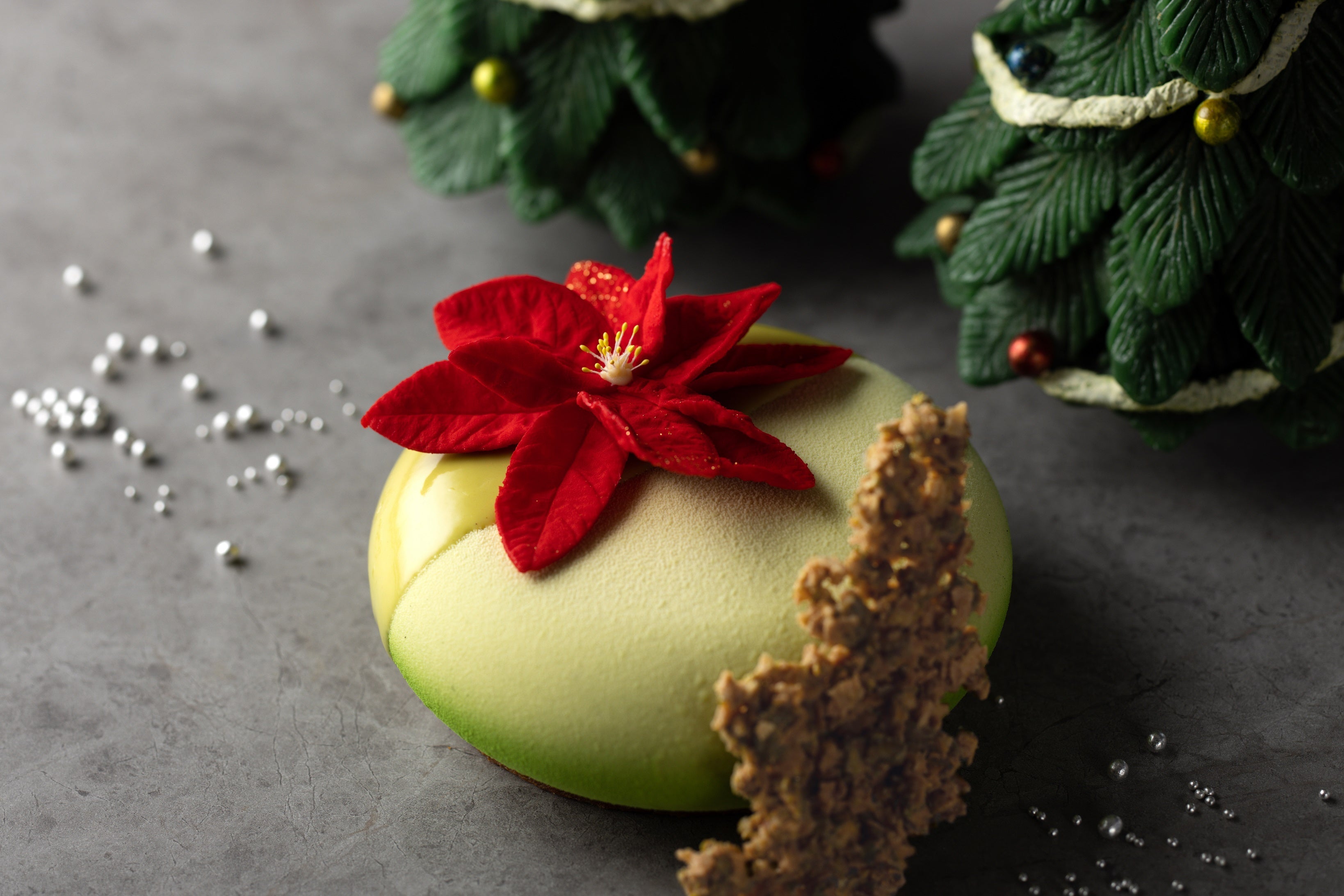 「ポインセチア」イメージ