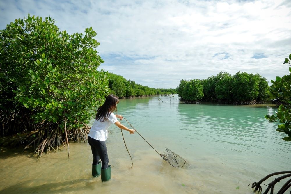 体験学習の様子