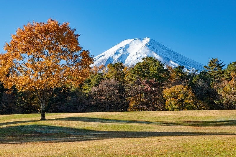 諏訪の森自然公園 イメージ