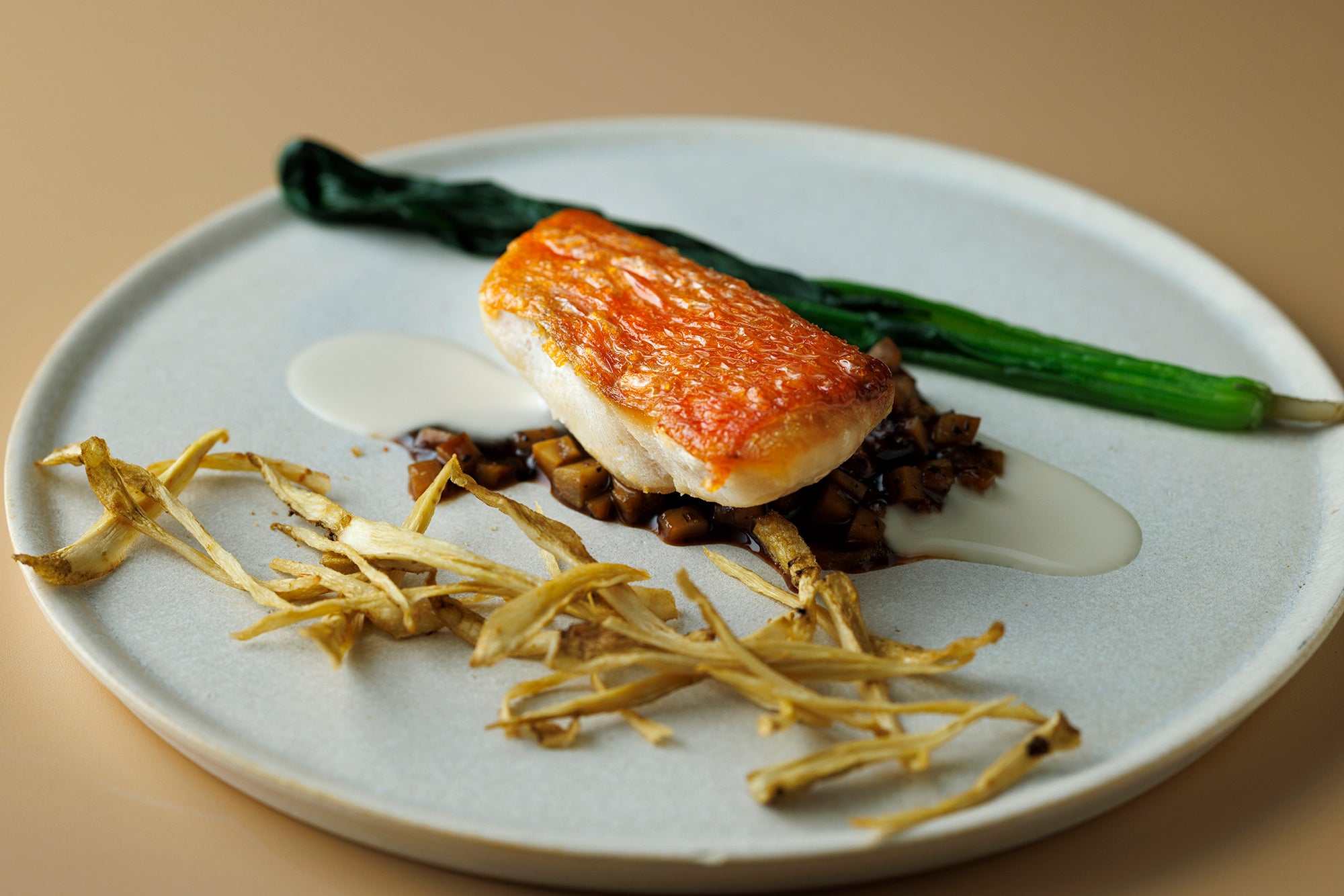 FISH DISH イメージ