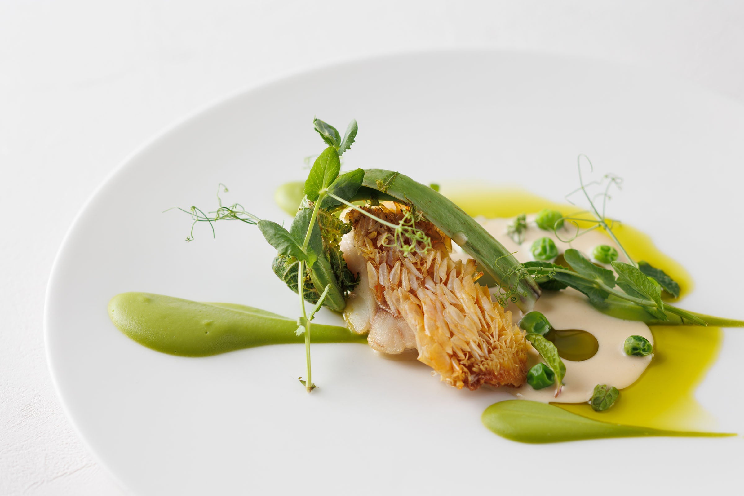 魚料理 イメージ