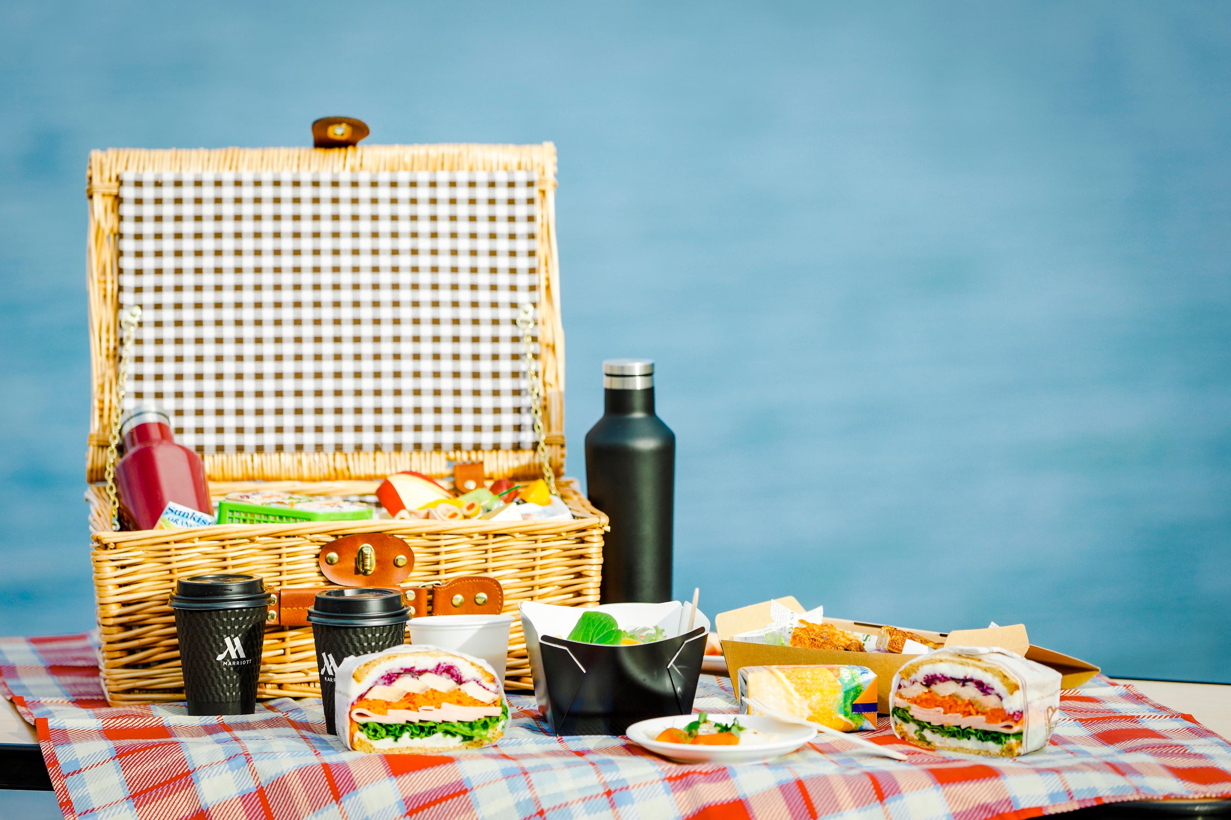 BIWAKO Morning Picnic image