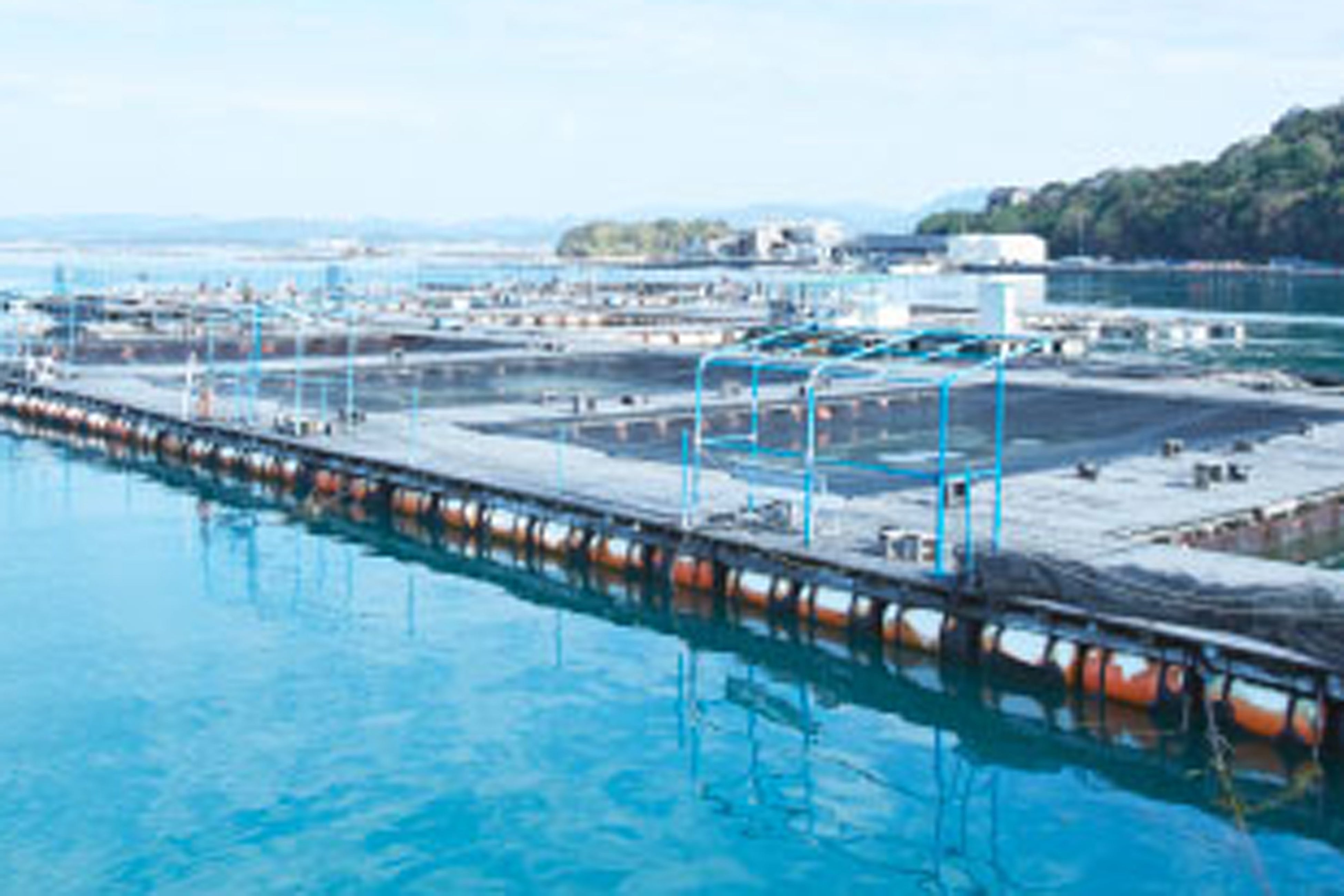 釣り堀イメージ