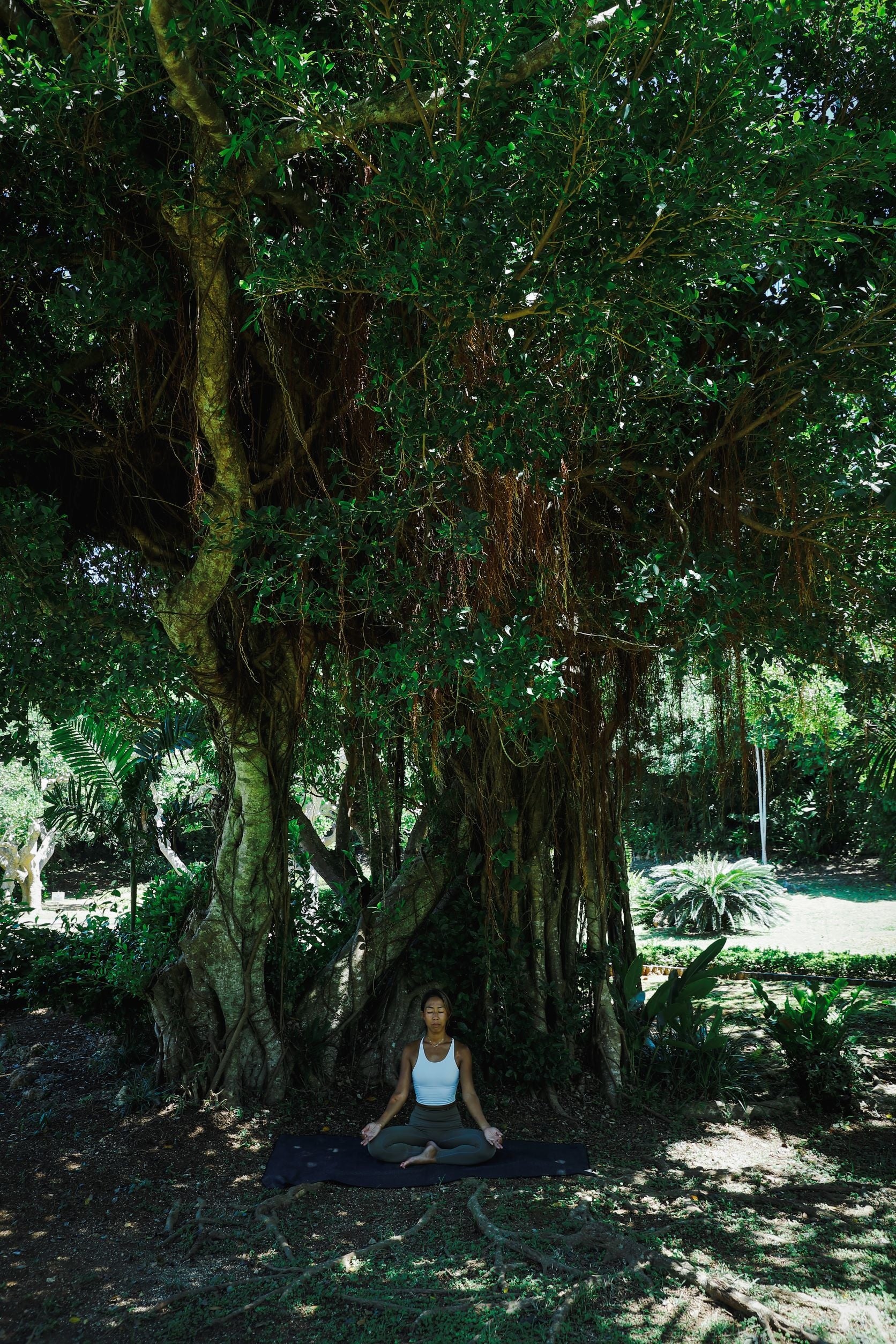ネイチャーヨガ（木）イメージ 