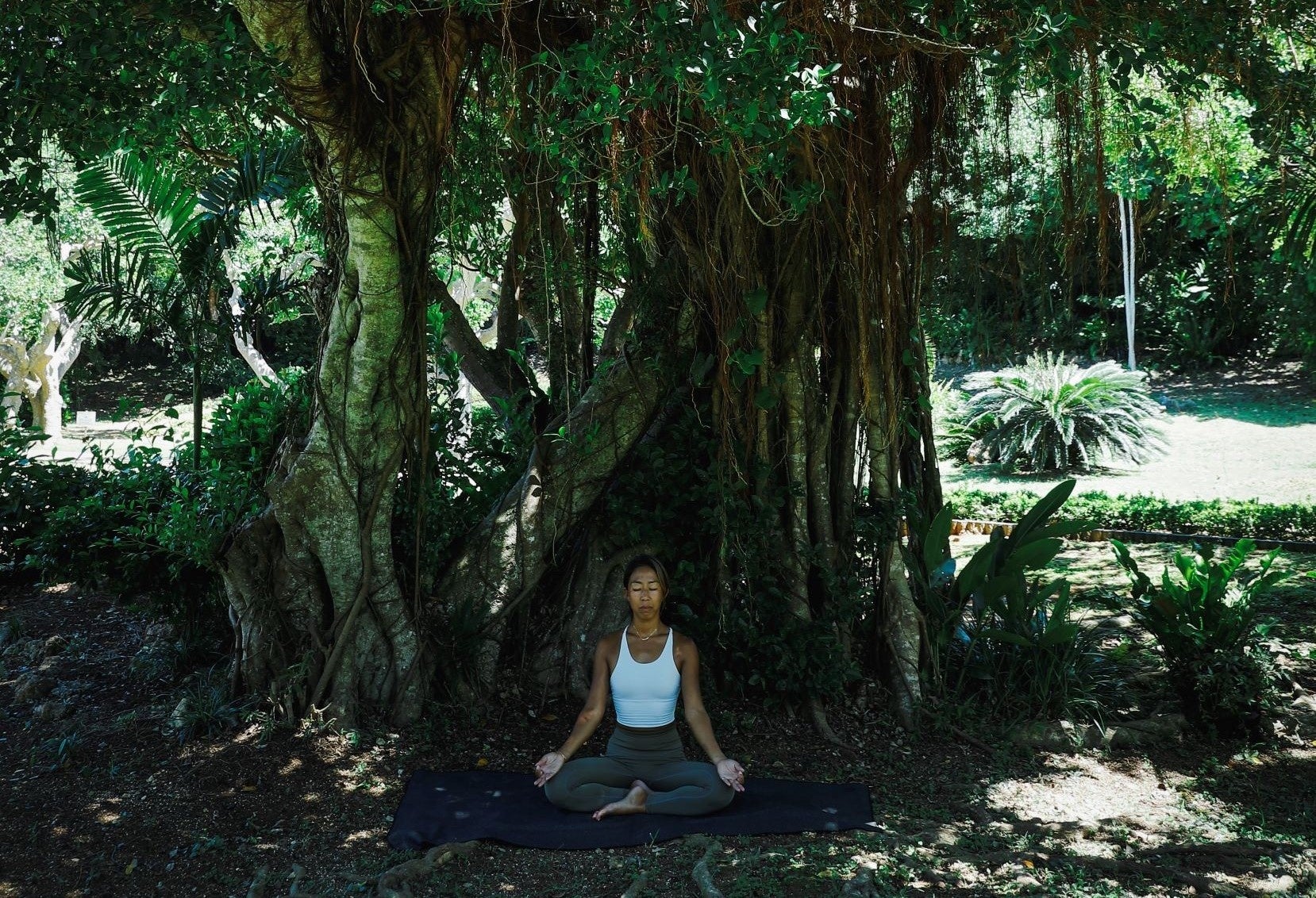 ネイチャーヨガ（木）イメージ 