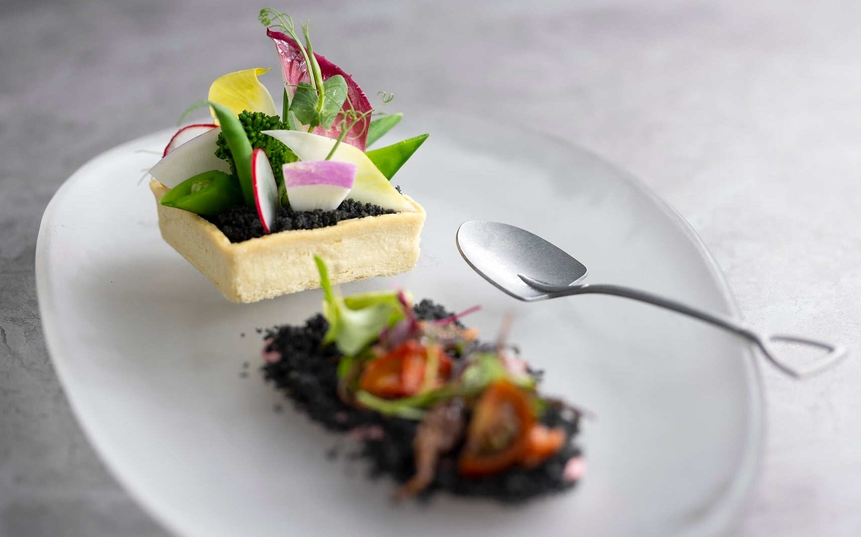 前菜 -春の訪れ-