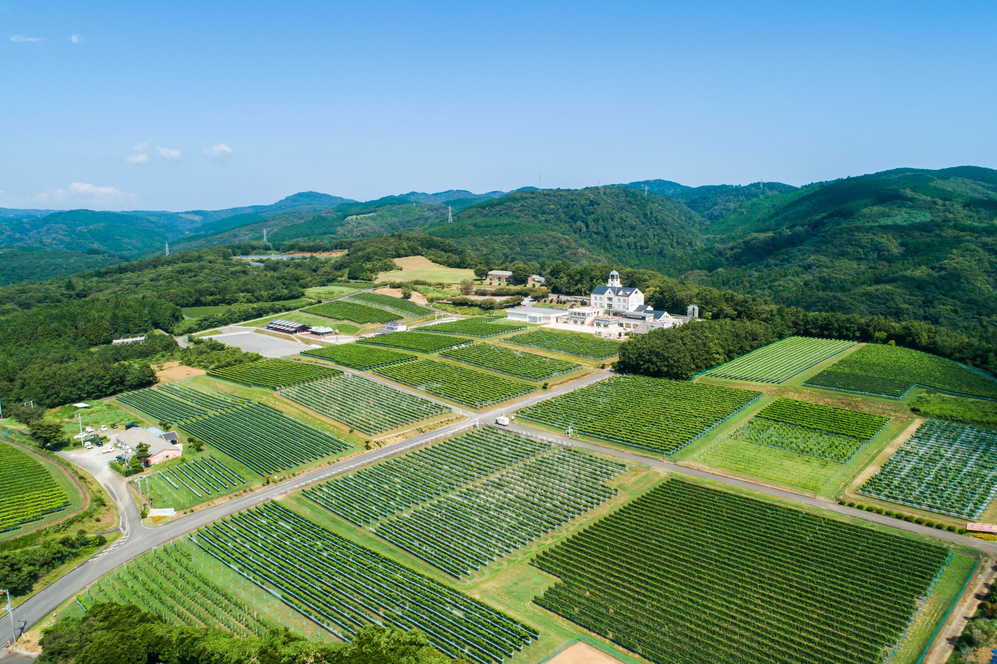 中伊豆ワイナリーシャトーT.S