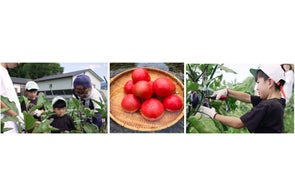 【新プラン登場】「NIPPONIA 甲佐 疏水の郷」地域の恵みを味わう朝食のリニューアルのご案内 & 季節の農業体験付きプラン6月1日より受付開始