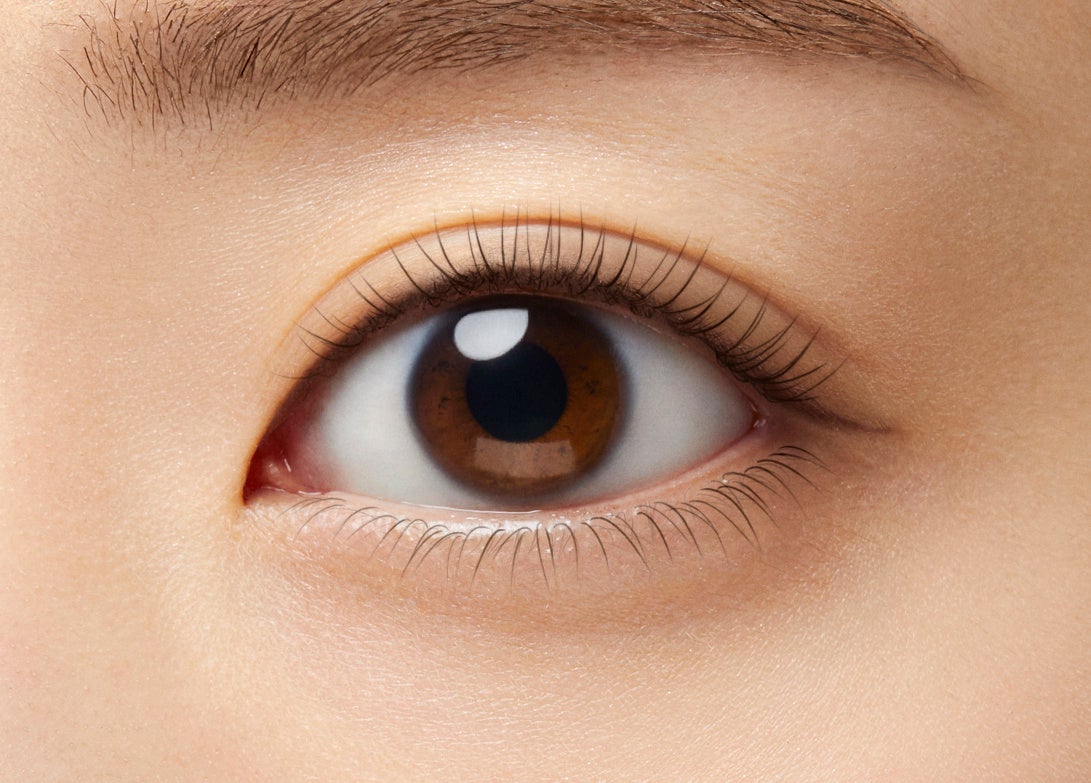 ダークブラウン　イメージ