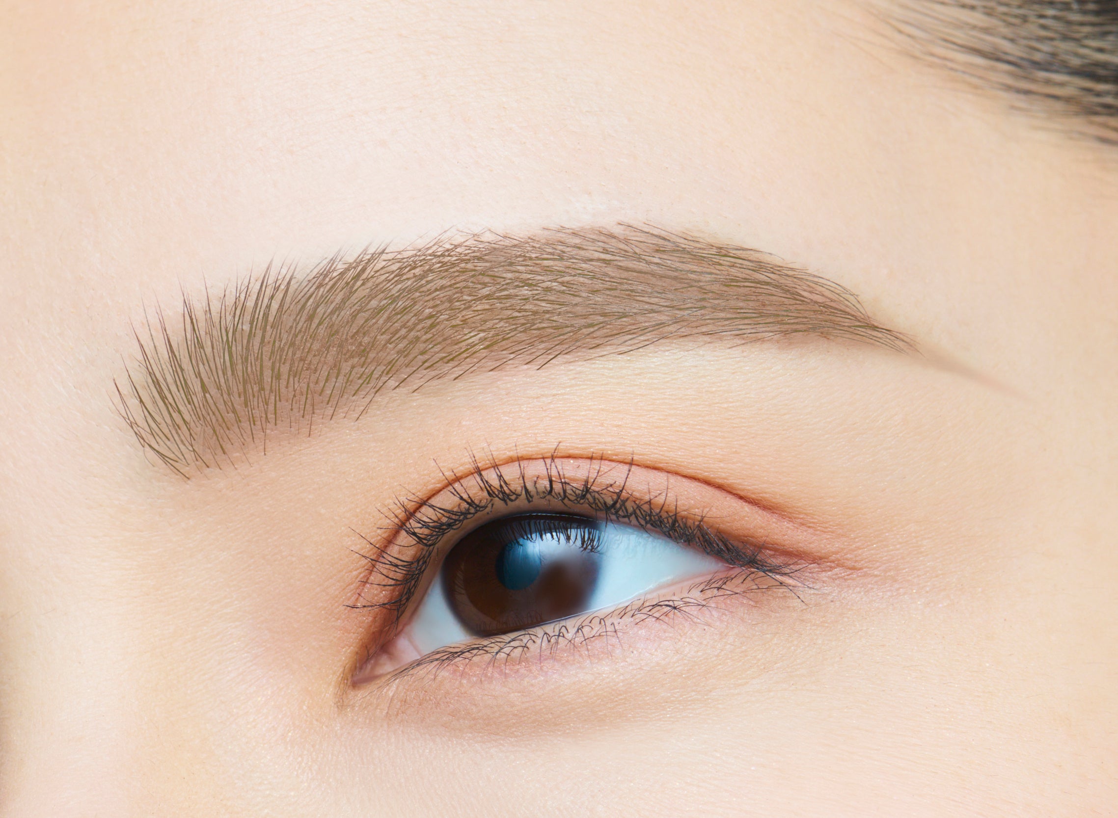 仕上がりイメージ