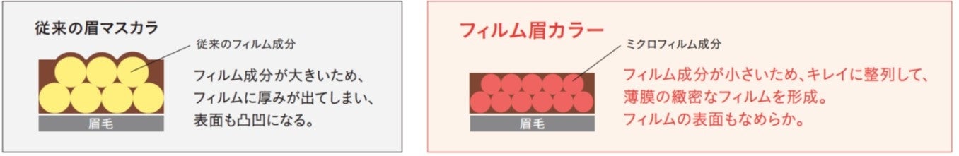 図1 ミクロフィルム成分
