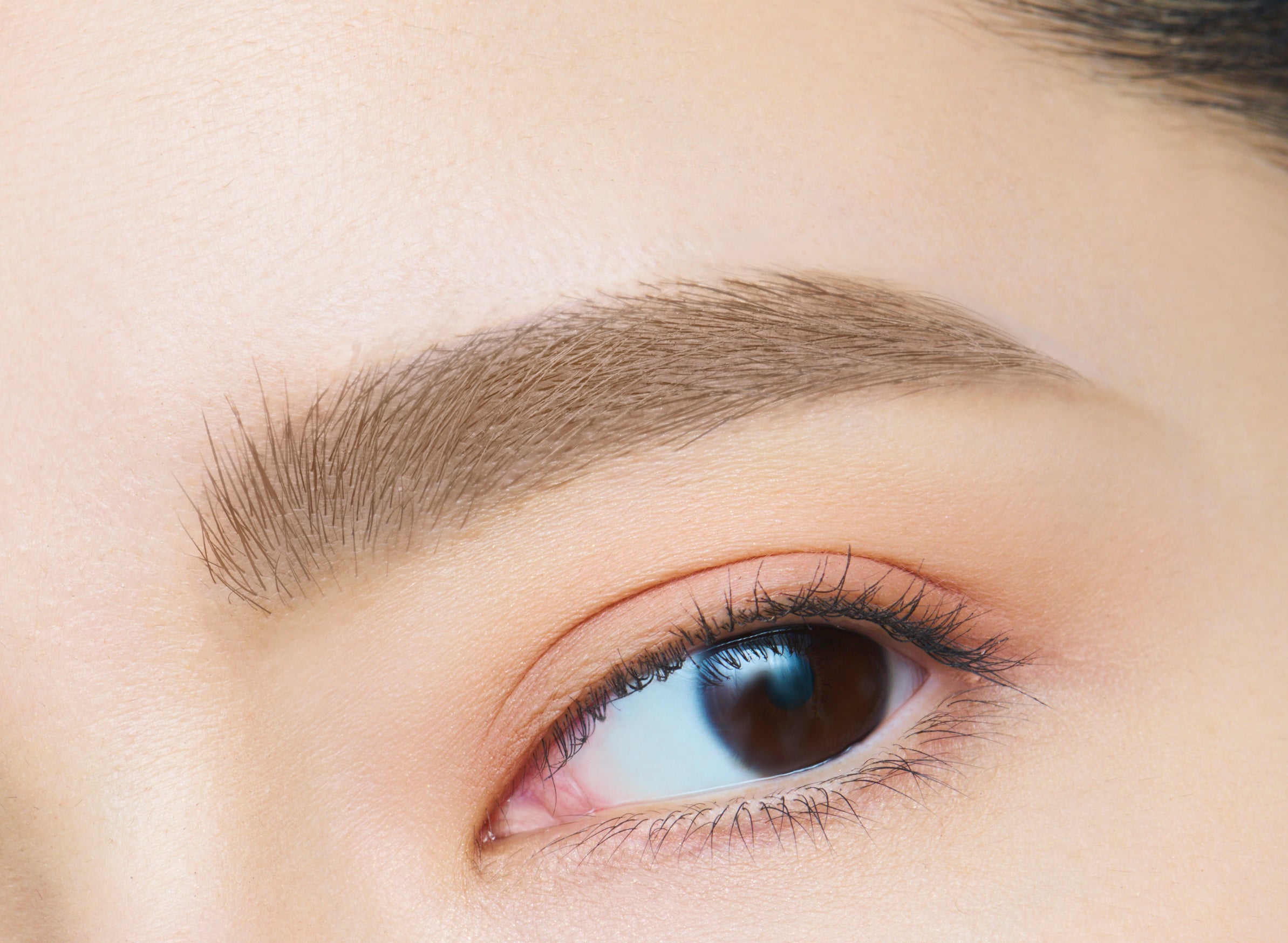 仕上がりイメージ