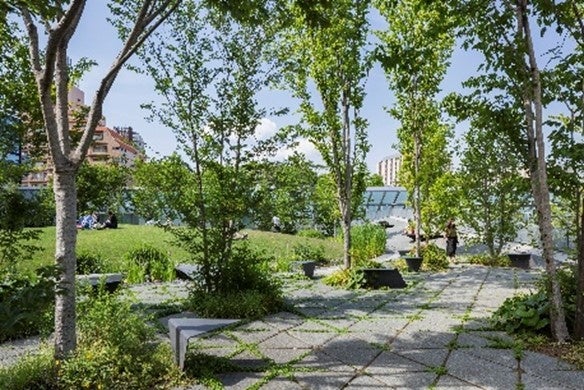 「戸山の丘」2階レベル　 雑木林のような多様性に富んだ環境をつくり出した