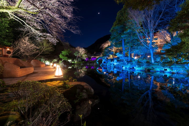 夜間特別開園　桜舞う 《 光の庭園 》(2022年3月25日～4月17日実施)