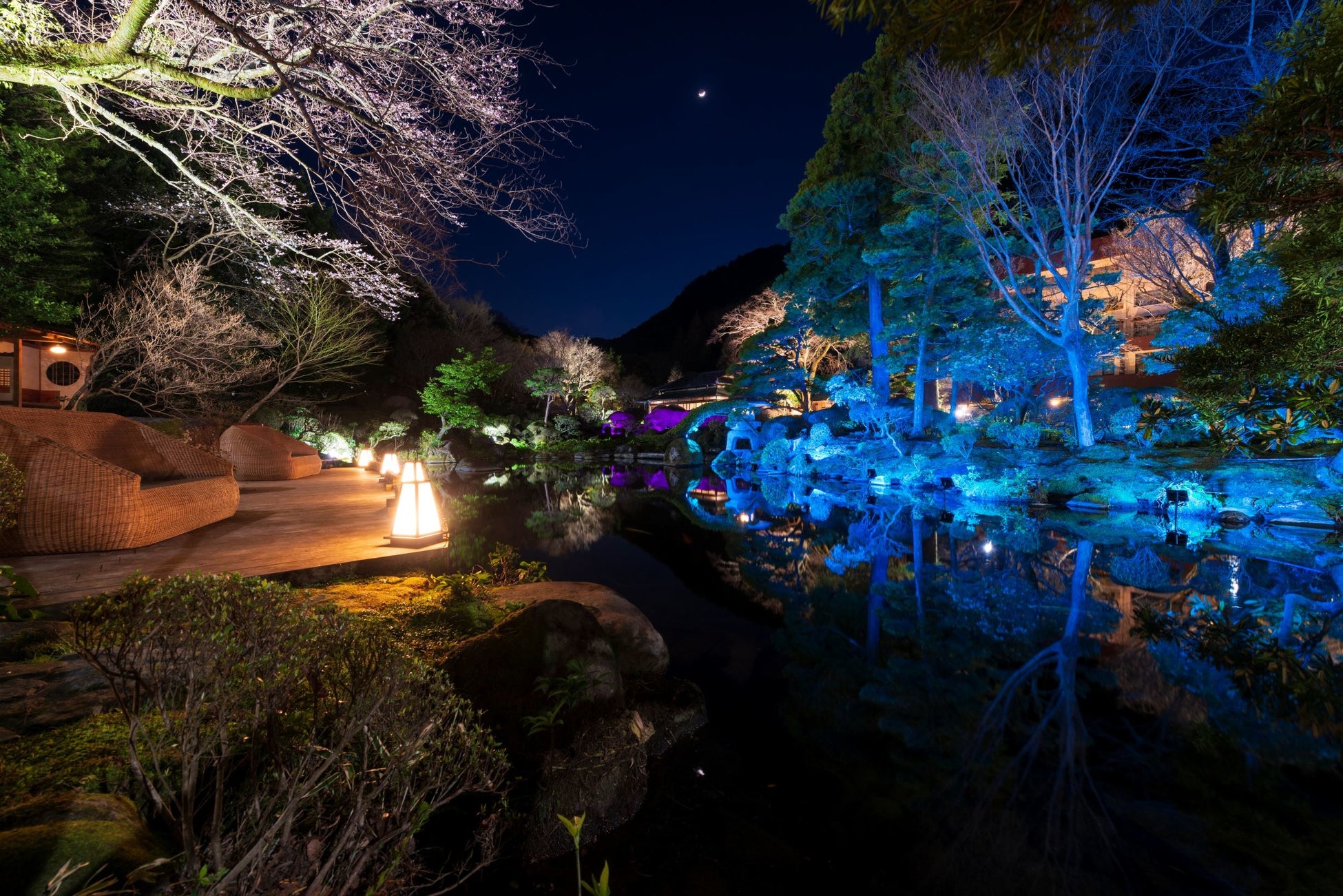 夜間特別開園 桜舞う 《 光の庭園 》(2022年3月25日~4月17日実施)