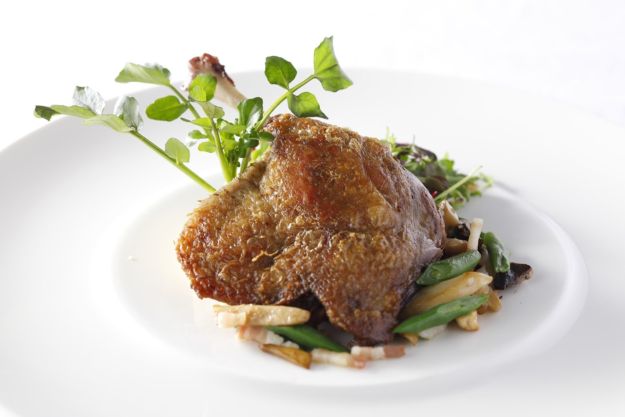 フランス産 鴨モモ肉のコンフィ　ハーブサラダ添え