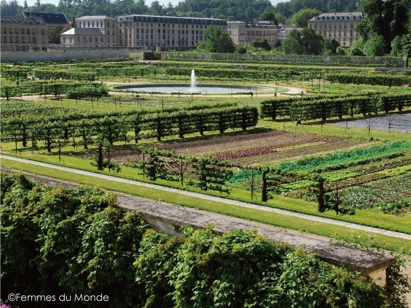 ロオジエ からサステナブルな紅茶発売 株式会社 資生堂パーラーのプレスリリース ロオジエ からサステナブルな紅茶発売 株式会社 資生堂パーラーのプレスリリース
