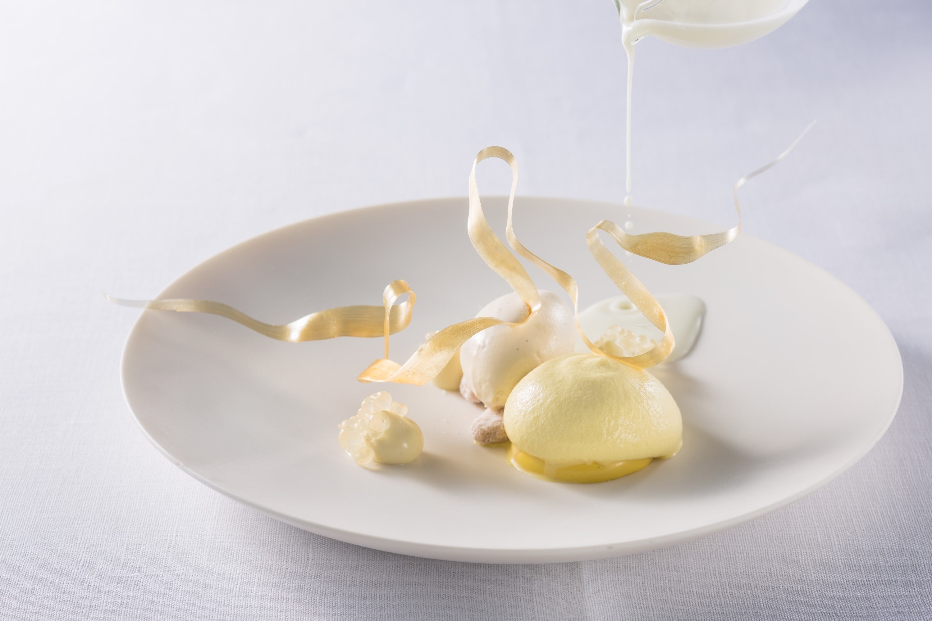 「蜂と花の和」