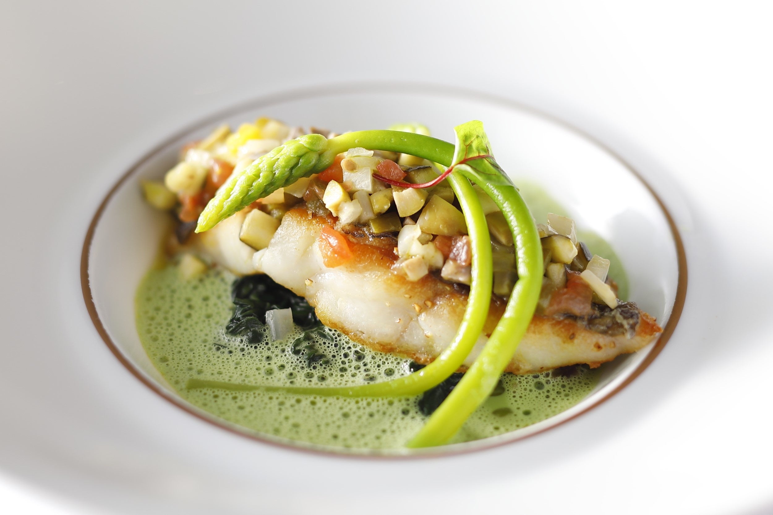 玄界灘 天然マダイの白ワイン蒸し 八女茶のソース