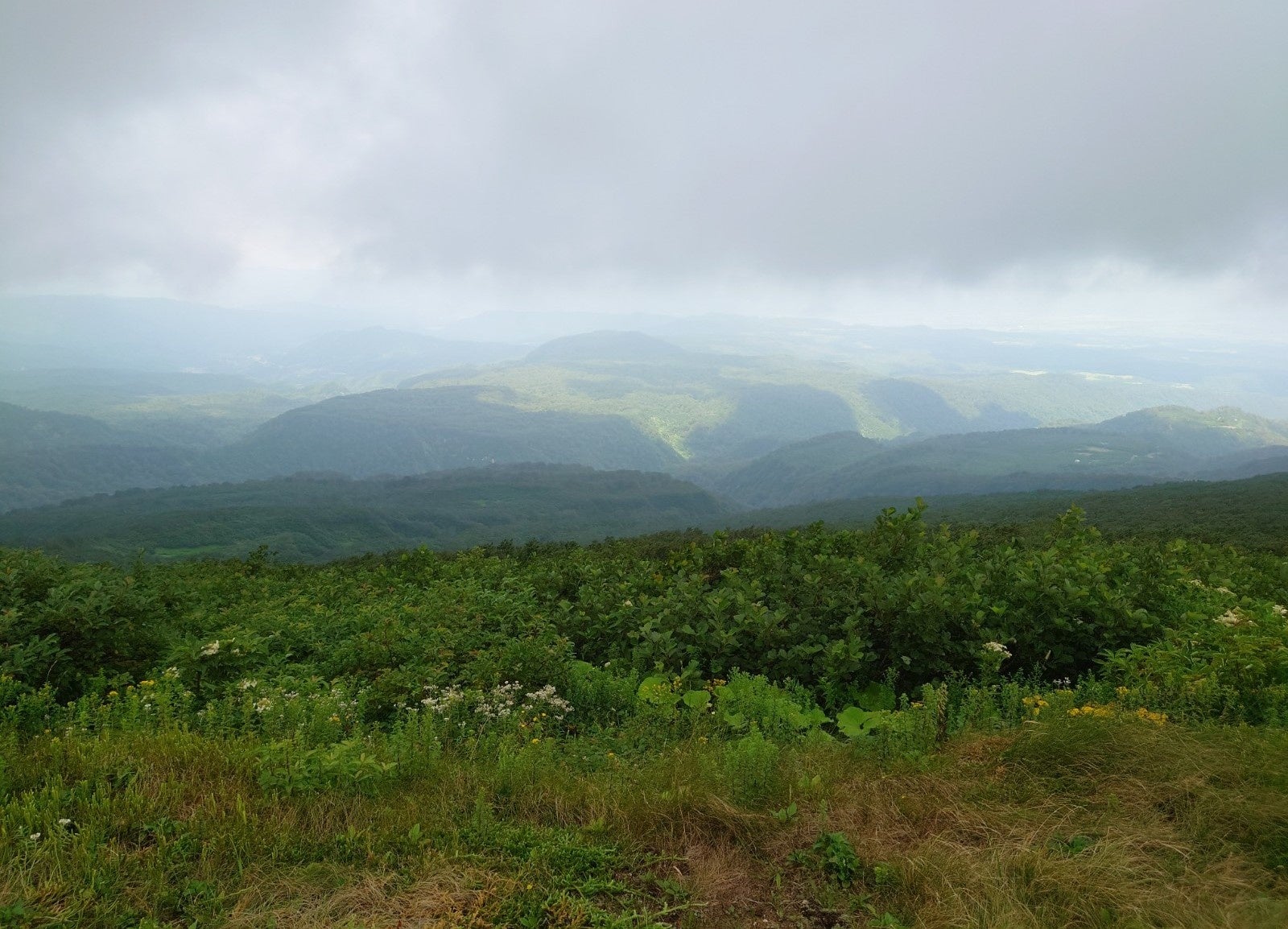 月山八合目からの景観　