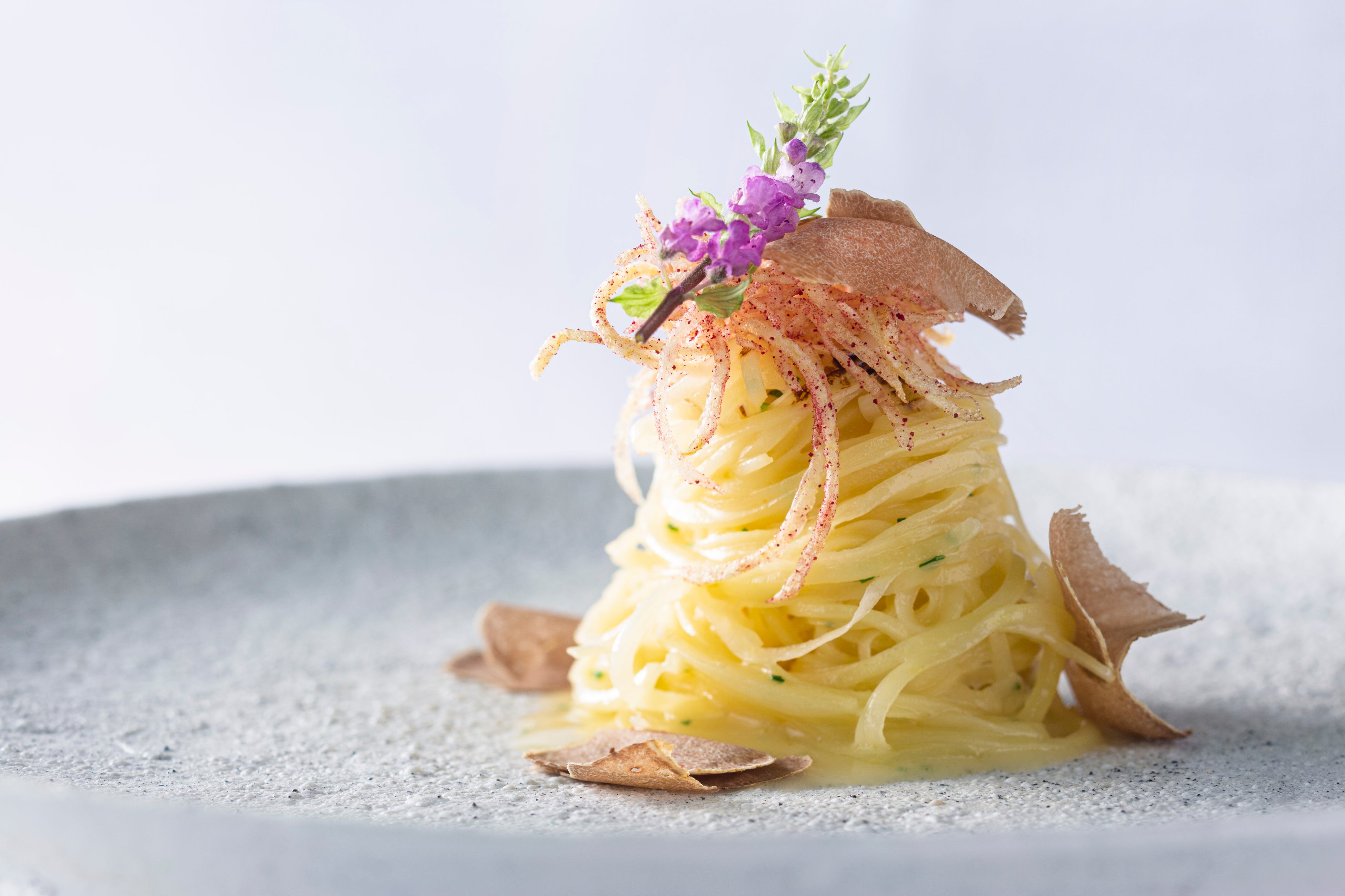 イタリア 料理 洋書 プロ仕様 イタリア料理 ─専門料理全書（イラスト・調理方法・手順付き