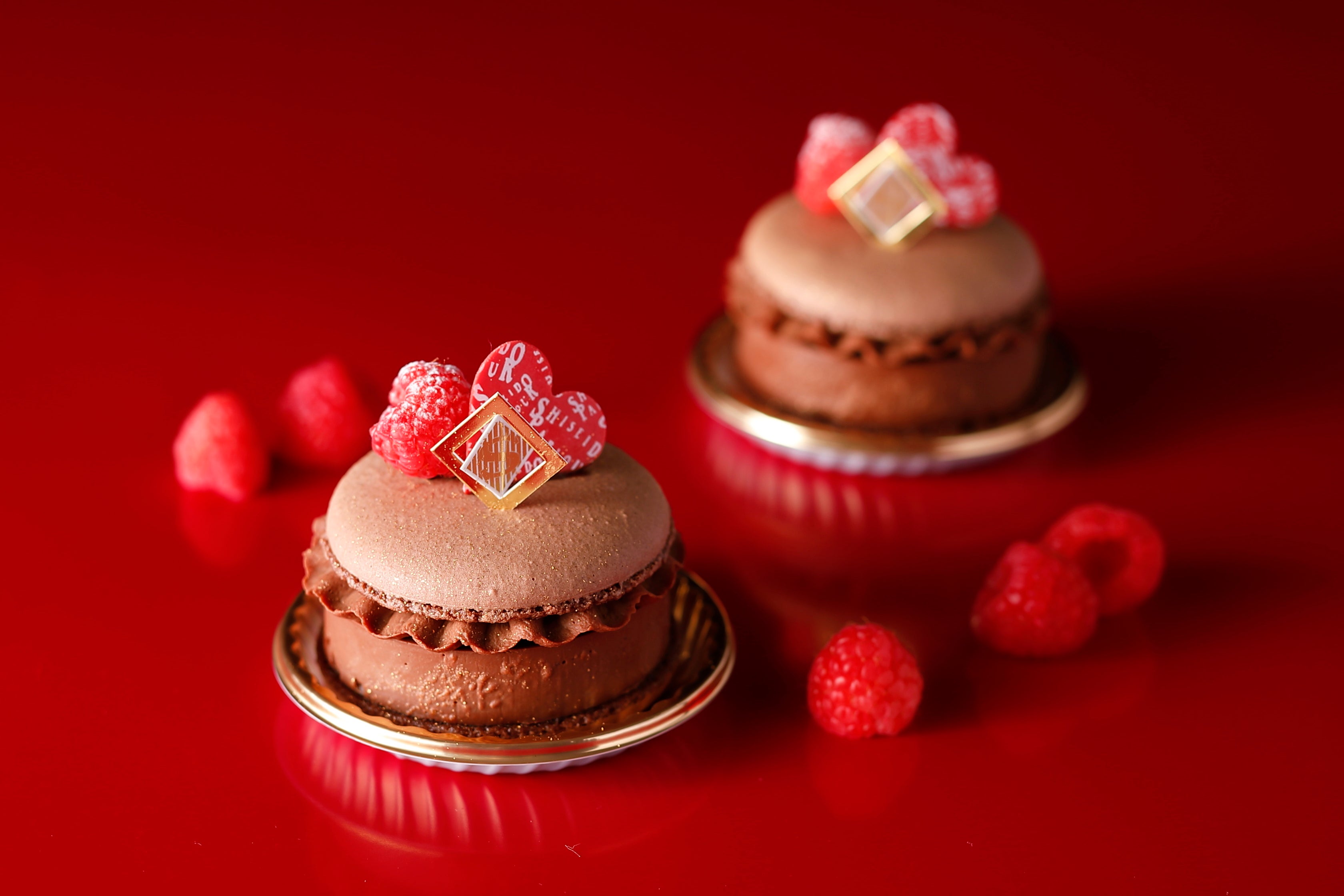 甘酸っぱいラズベリーのジャムとクリームがアクセントのショコラのマカロン