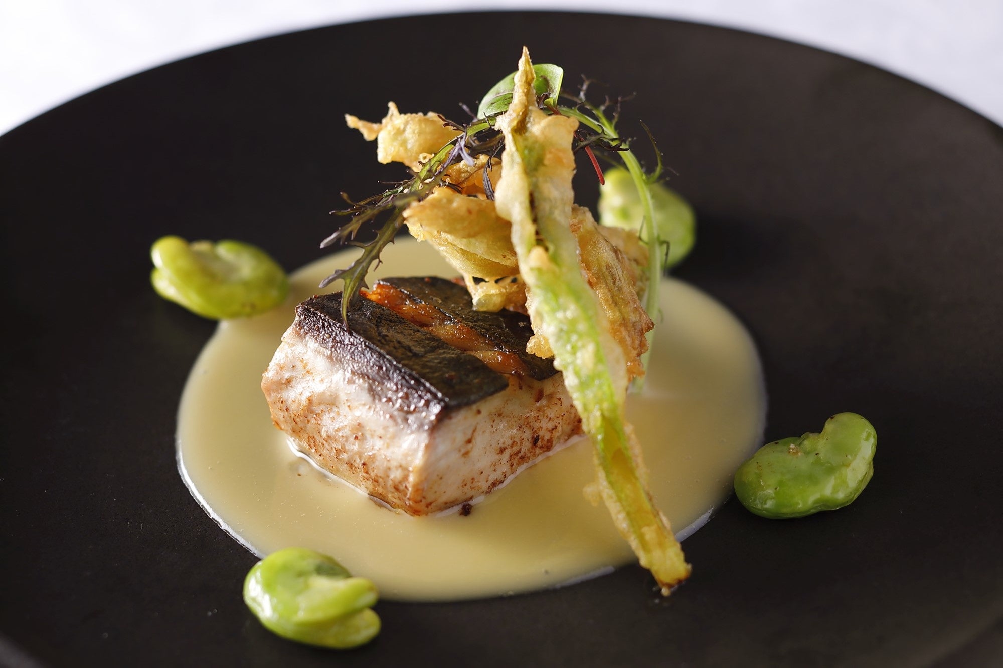 春の味覚　福岡県 糸島市産　“特鮮本鰆”のムニエル　西京味噌のクリームソース