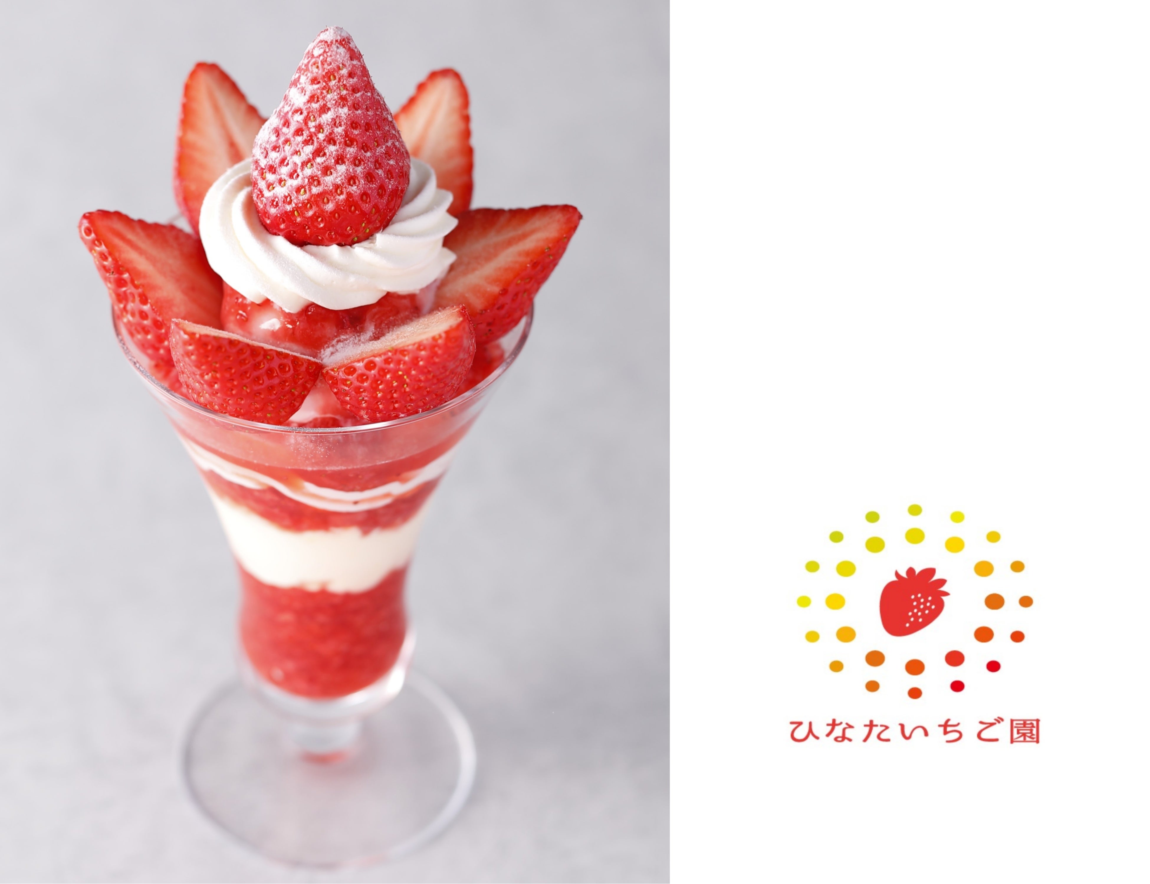 ⑱　いちごパフェ☆ 日本一大きい特大いちごパフェ The largest strawberry parfait