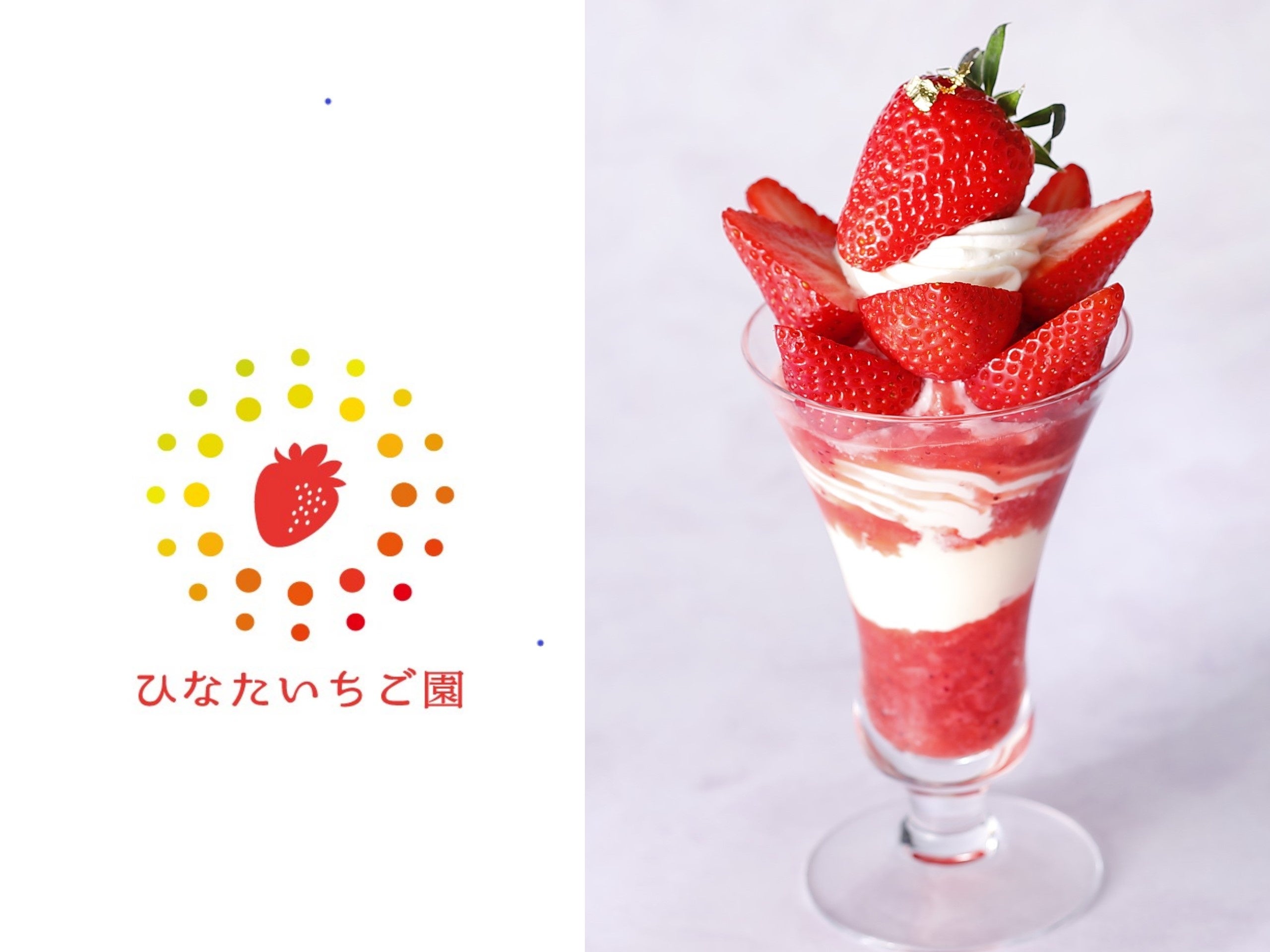 『宮崎県産ひなたいちご園苺“よつぼし”のプレミアムストロベリーパフェ』