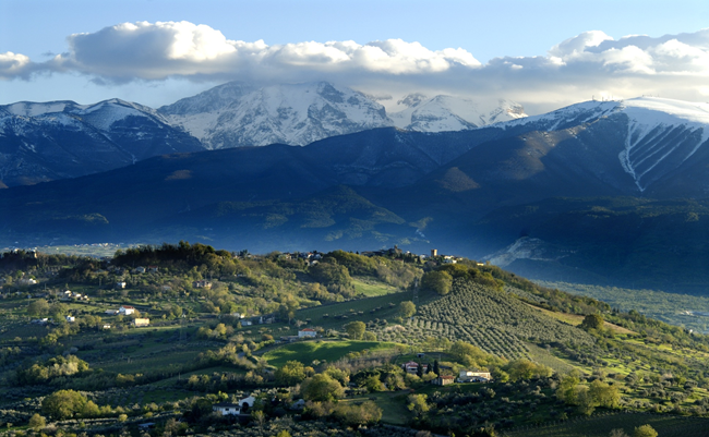 マシャレッリ社のワインの生産地、イタリアのアブルッツォ州。