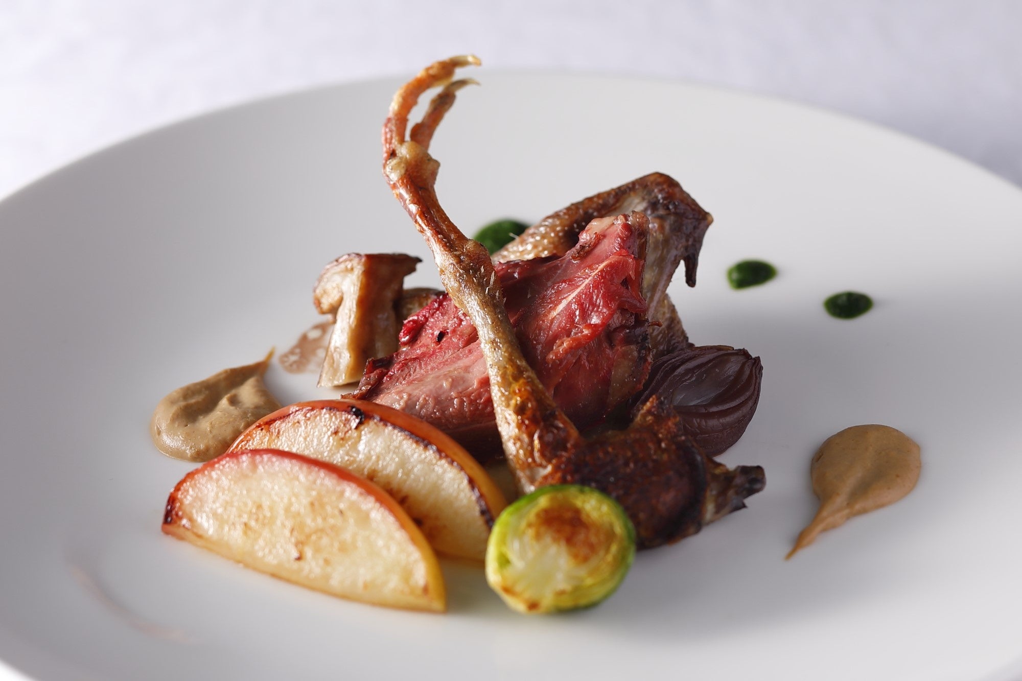 フランス ランド産 ピジョンのロースト ソースアルビュフェラ