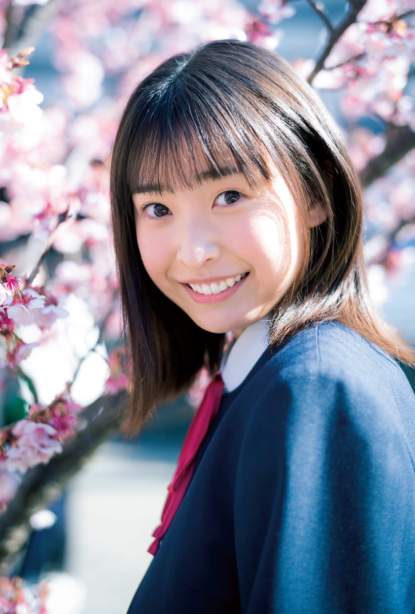 ❗️新品未開封❗️ 卒業10th 私立清華女子高等学校卒業生名簿 BOXトレカ B.L.T.graduation2022高校卒業／中学卒業」表紙解禁!! 乃木坂46・岩本