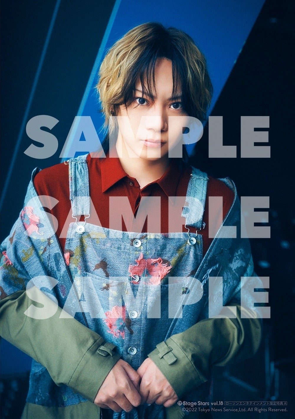 「TVガイド Stage Stars vol.18」ローソンエンタテインメント購入特典