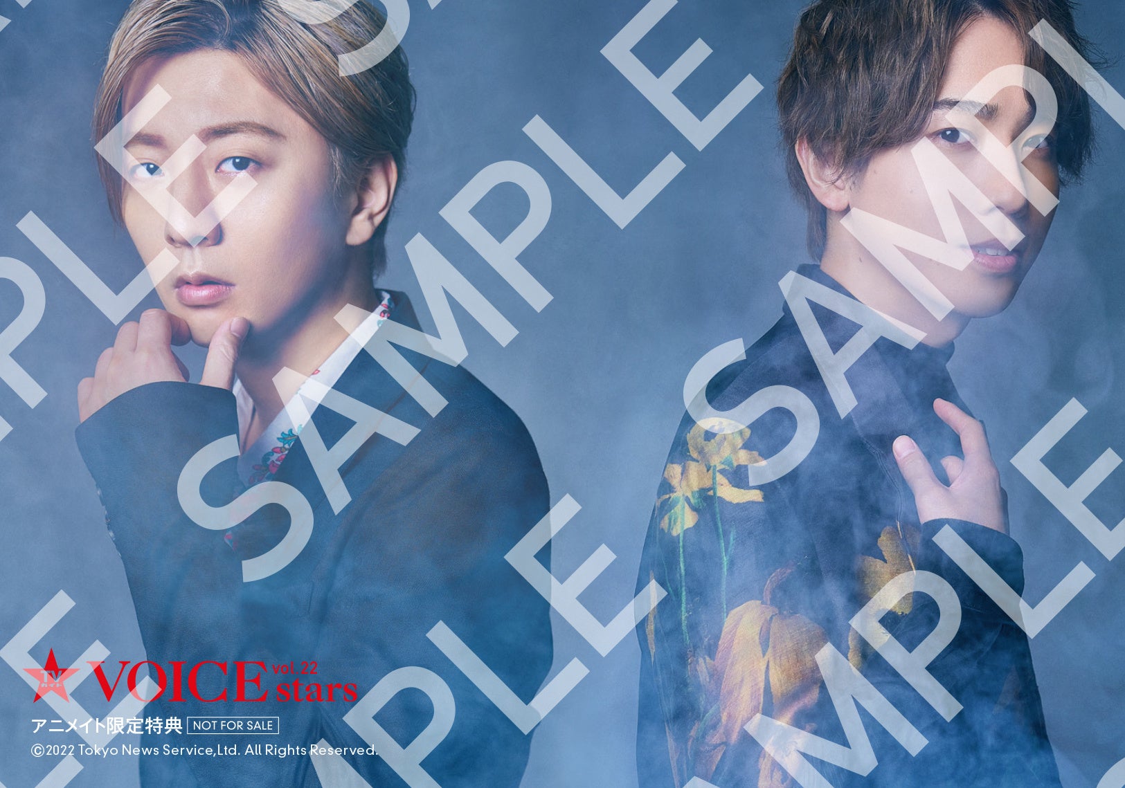 「TVガイドVOICE STARS vol.22」アニメイト購入特典生写真(梶原岳人×木村良平)