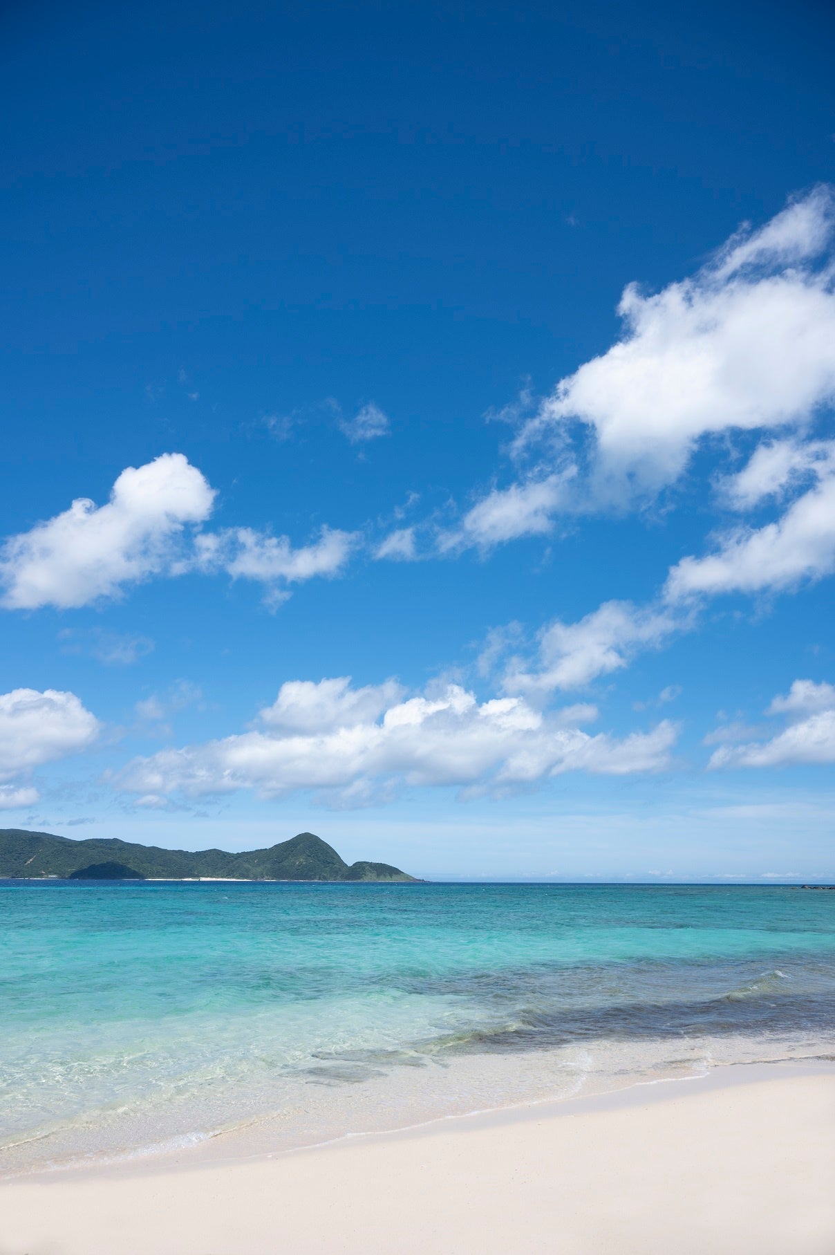 「健康・美肌・長寿の島の贈り物　奄美ごはん」（恵上イサ子／著）（東京ニュース通信社発行）