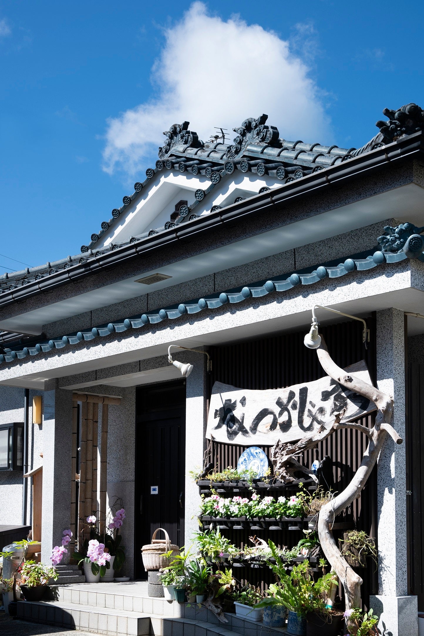 「健康・美肌・長寿の島の贈り物　奄美ごはん」（恵上イサ子／著）（東京ニュース通信社発行）