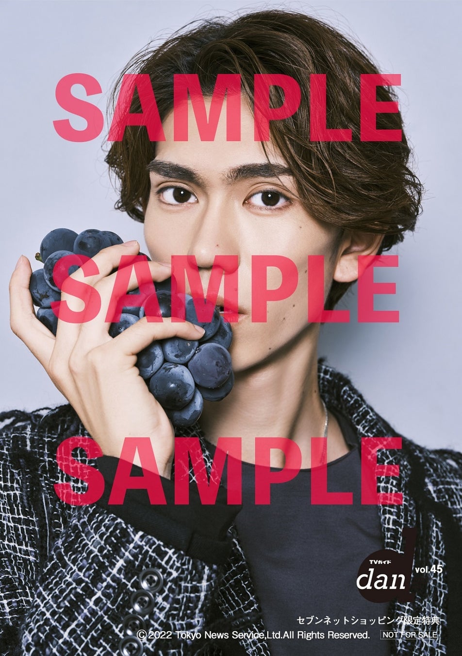 【セブンネットショッピング購入者特典】「TVガイドdan vol.45」(東京ニュース通信社刊)