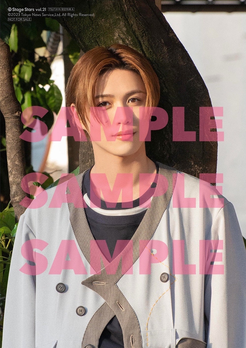 「TVガイド Stage Stars vol.21」TSUTAYA購入特典