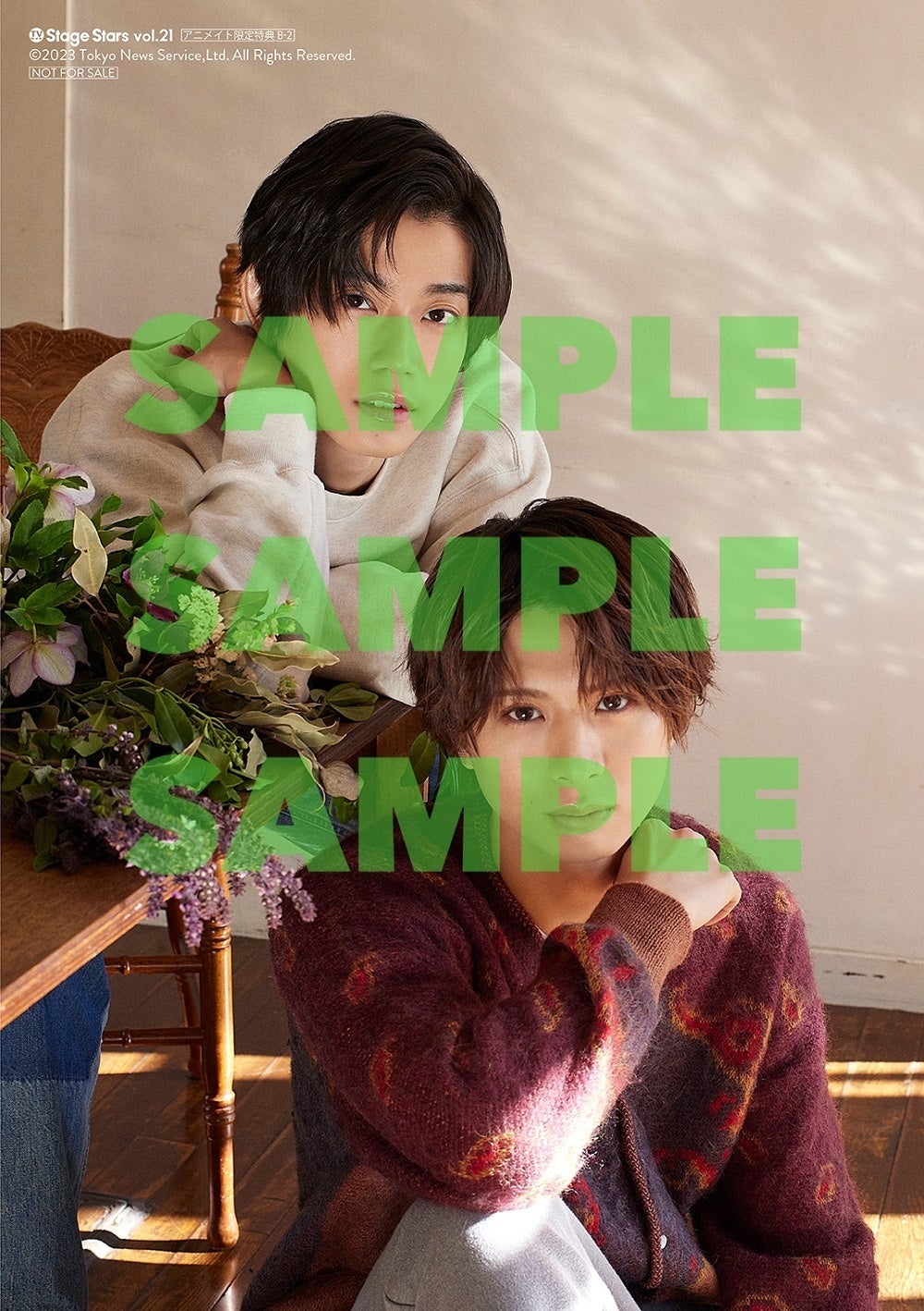 「TVガイド Stage Stars vol.21（通常版）」アニメイト購入特典