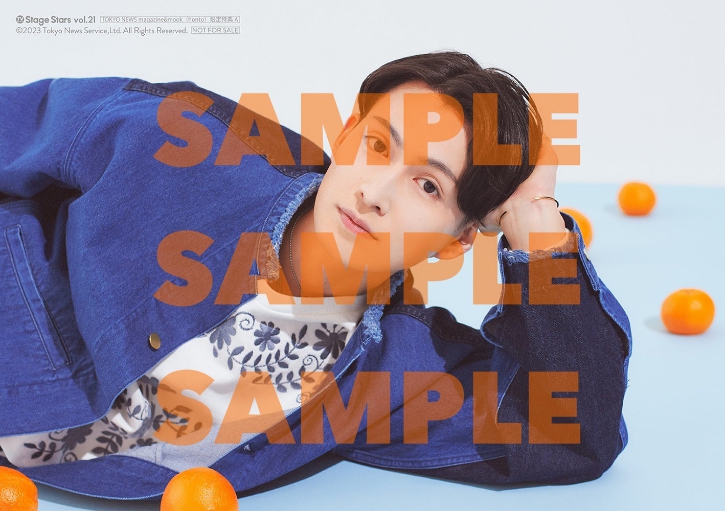 「TVガイド Stage Stars vol.21」TOKYO NEWS magazine＆mook（honto）購入特典