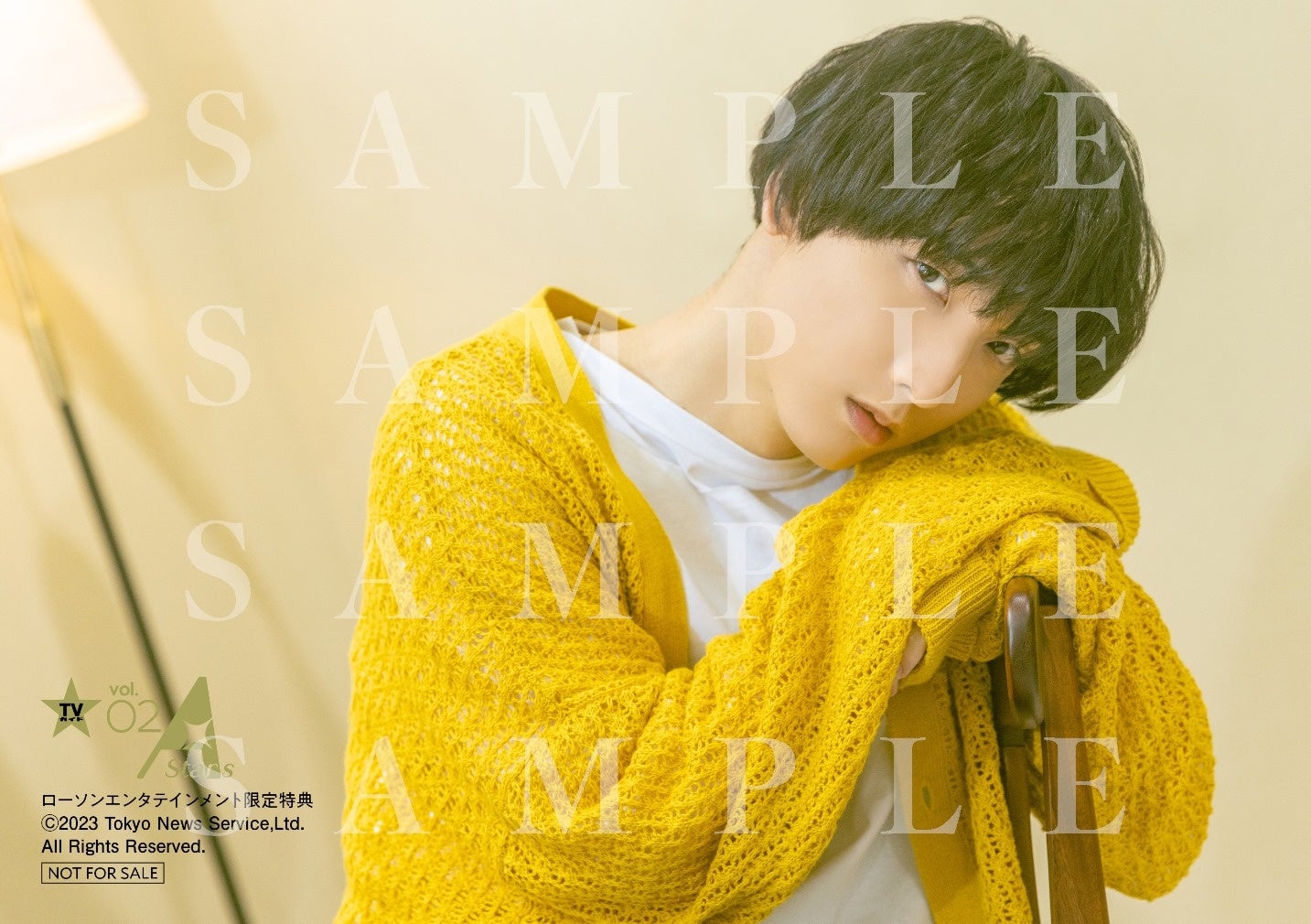 「TVガイド A Stars vol.02」ローソンエンタテインメント購入特典