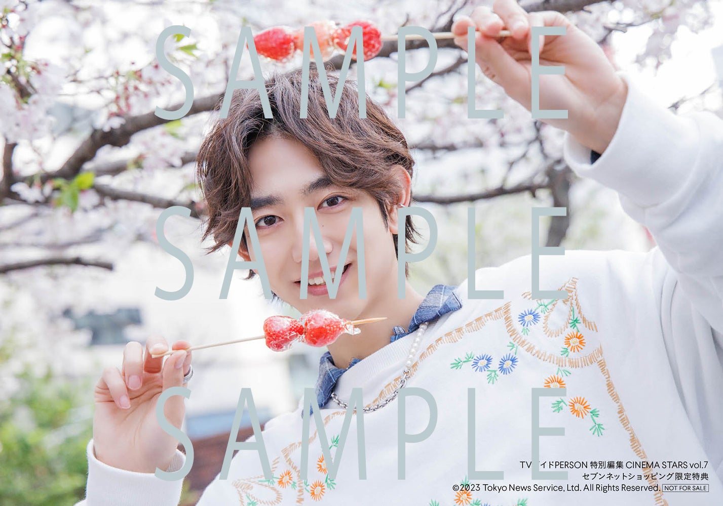 【セブンネットショッピング購入者特典】「TVガイドPERSON特別編集 CINEMA STARS vol.7」(東京ニュース通信社刊)