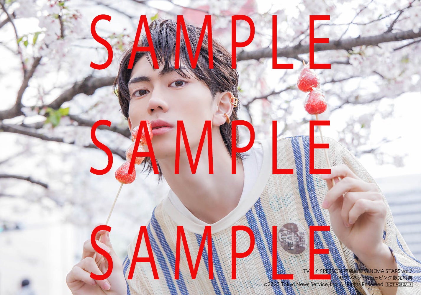 【セブンネットショッピング購入者特典】「TVガイドPERSON特別編集 CINEMA STARS vol.7」(東京ニュース通信社刊)