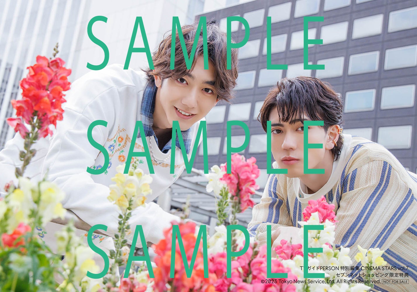 【セブンネットショッピング購入者特典】「TVガイドPERSON特別編集 CINEMA STARS vol.7」(東京ニュース通信社刊)