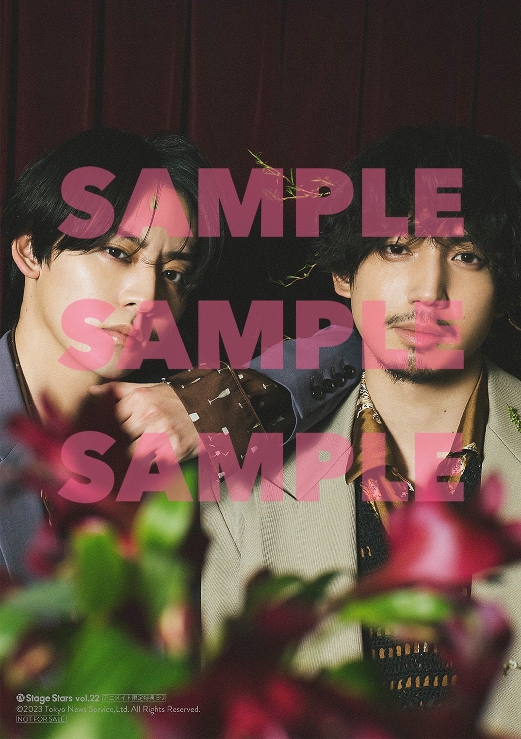 「TVガイドStage Stars vol.22（通常版）」アニメイト購入特典