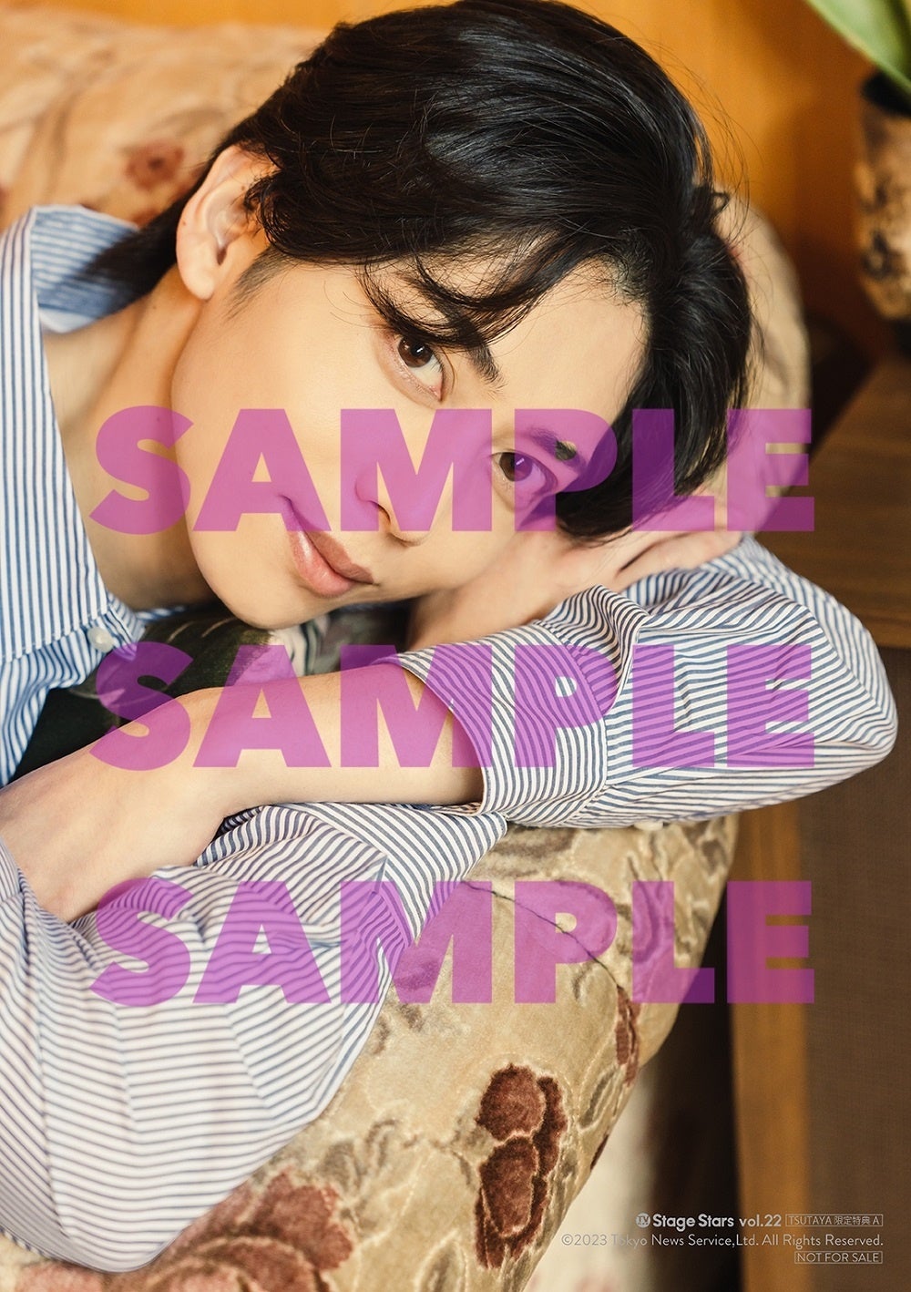 「TVガイドStage Stars vol.22」TSUTAYA購入特典
