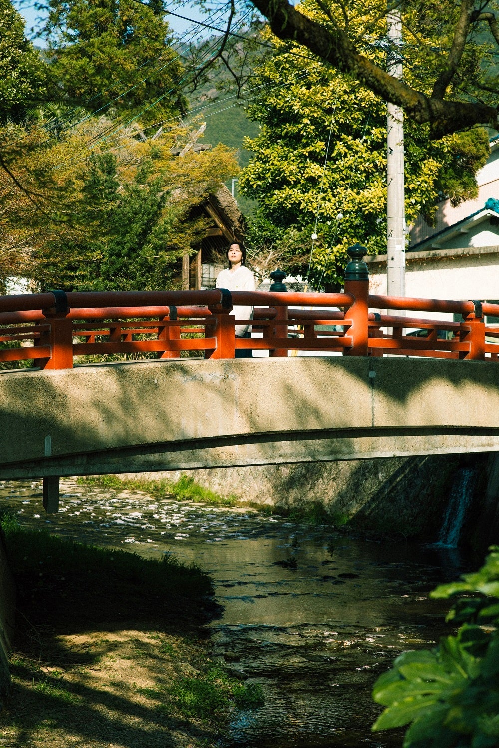新木宏典フォトブック「〝新〟発見 丹波ガイド」​(東京ニュース通信社刊)