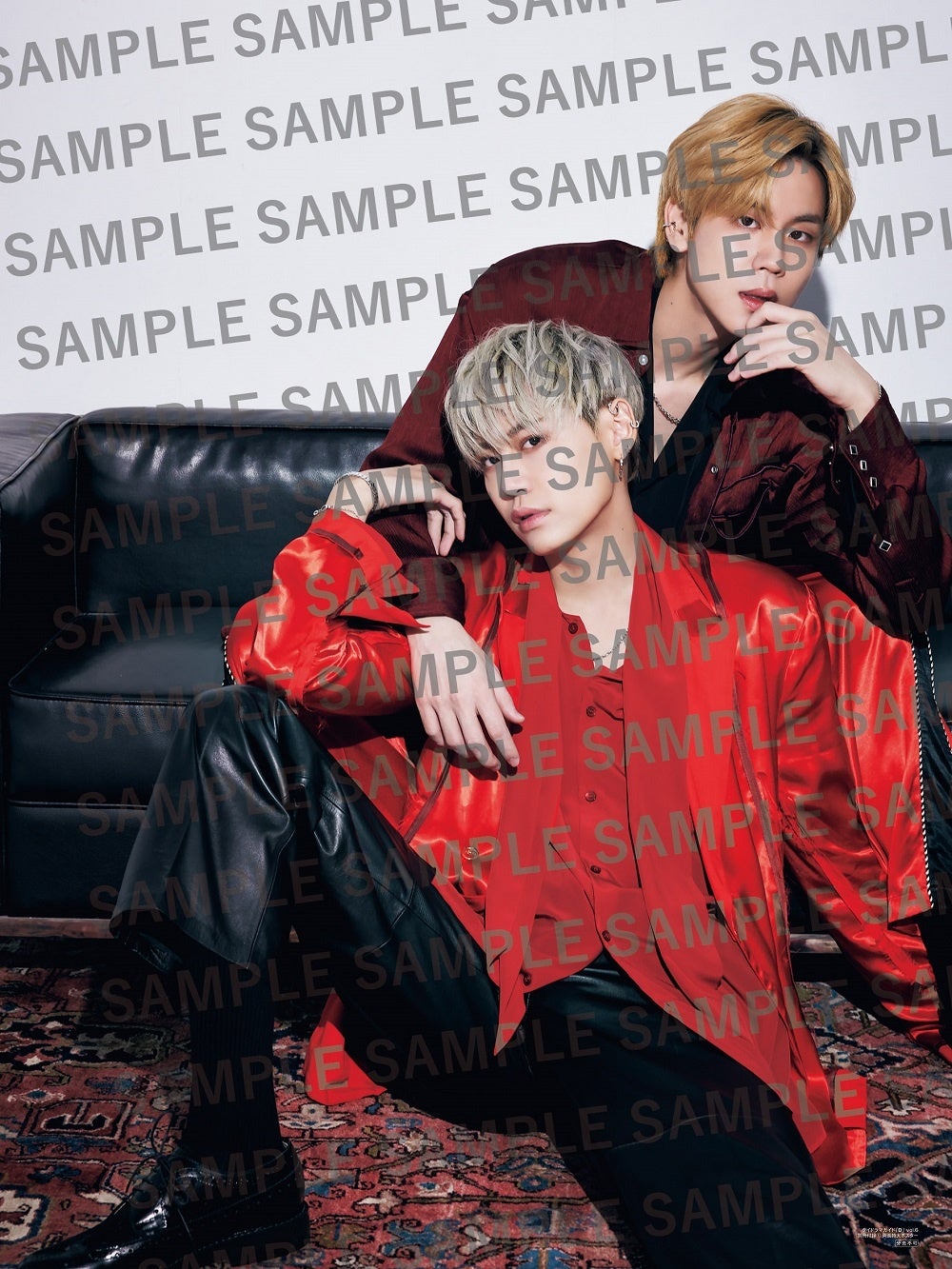 タイドラマガイド「D」 vol.6別冊付録:Mew Suppasit/Boun&Prem撮り下ろし両面特大ポスター(裏)