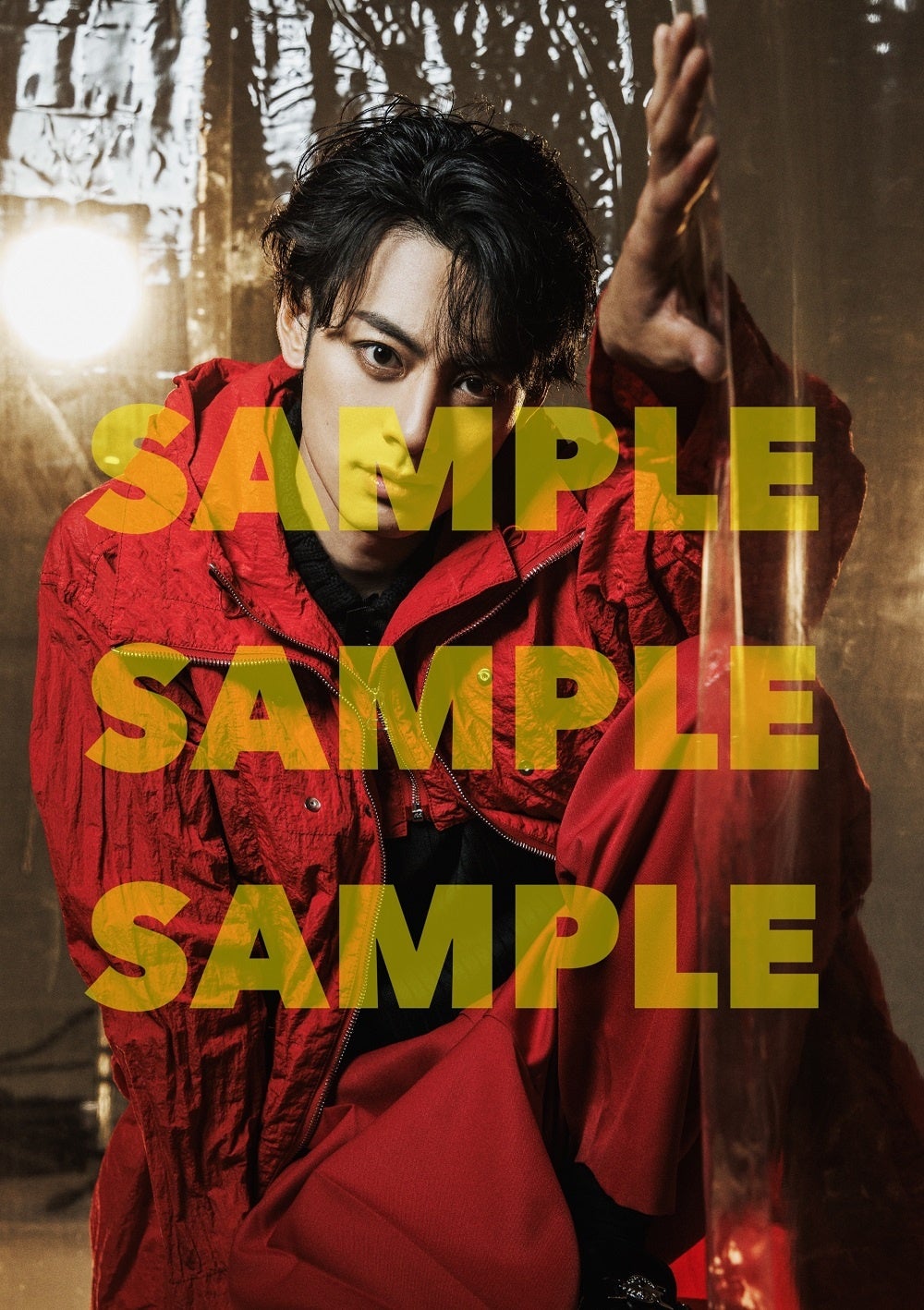 「TVガイドStage Stars vol.23アニメイト限定版」購入特典